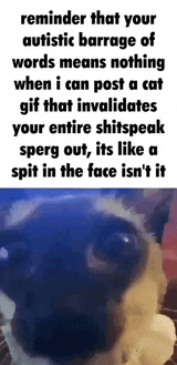 1736981073855257