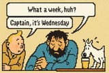what a week pixel