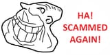scammed again