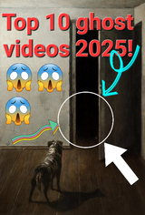 1753337655848606