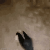 average pvp sam