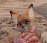 bald akaihime