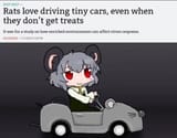 rats and tiny cars