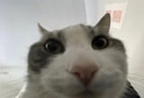 1683658499675990m