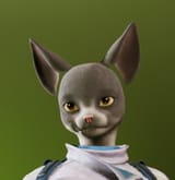bald Erwin