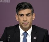 65734465-11554301-Rishi_Sunak_was_questioned_about_Mr_Clarkson_s_comments_and_was_-m-12_1671464611108-3218758018