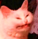 1749261331082260