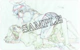 RFF1062