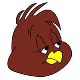 ChickenHawk