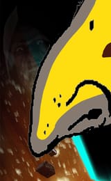b1