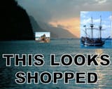 shopped