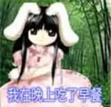 917738176388177