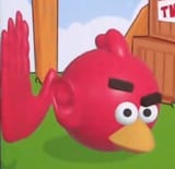 red bird listening