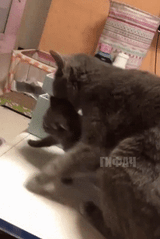 Into the trash you go
