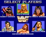 WWF_Superstars_1989