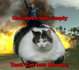 1163920446-1162645403644