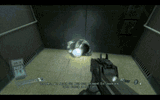 ragdoll