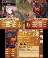 Fire Emblem Fates_24.07.25_10.02.47.401