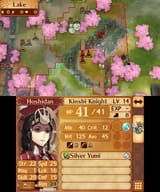 Fire Emblem Fates_24.07.25_10.06.37.244