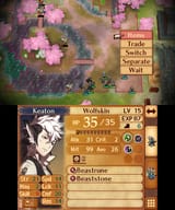 Fire Emblem Fates_24.07.25_11.14.50.129