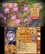 Fire Emblem Fates_24.07.25_11.44.03.74