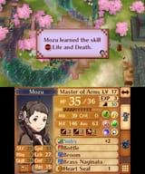 Fire Emblem Fates_24.07.25_11.49.14.257