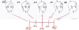 Head_rotation_chart