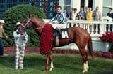 Secretariat-racehorse-Ron-Turcotte-winners-circle-roses-Kentucky-Derby-1973