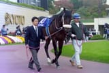 HishiAkebono