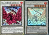 YGO Black Rose Dragons JPG