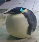 1747924243537494