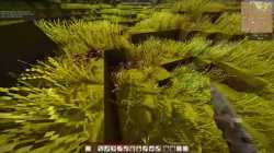 primo-start_thumb.jpg