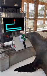 1738663664274458