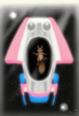 journey to planet nuts