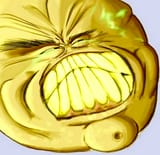 1525121540375