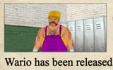 Release the Wario