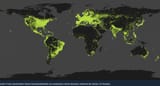 Steam traffic 2025