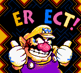 ERECT