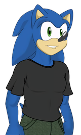 sonic first