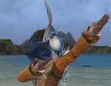 Starbirdo