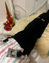 imu bed