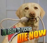 readytodie
