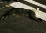 IMG_20210928_123357