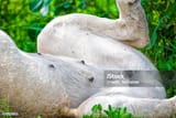 istockphoto-472152803-612x612