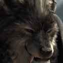 doggie_thumb.jpg