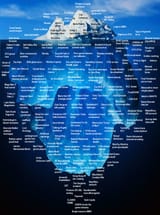 1630093635206