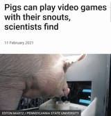 1725276683386787
