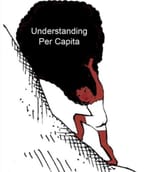 understanding what per capita means