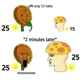 1735409809052138