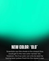 OLO